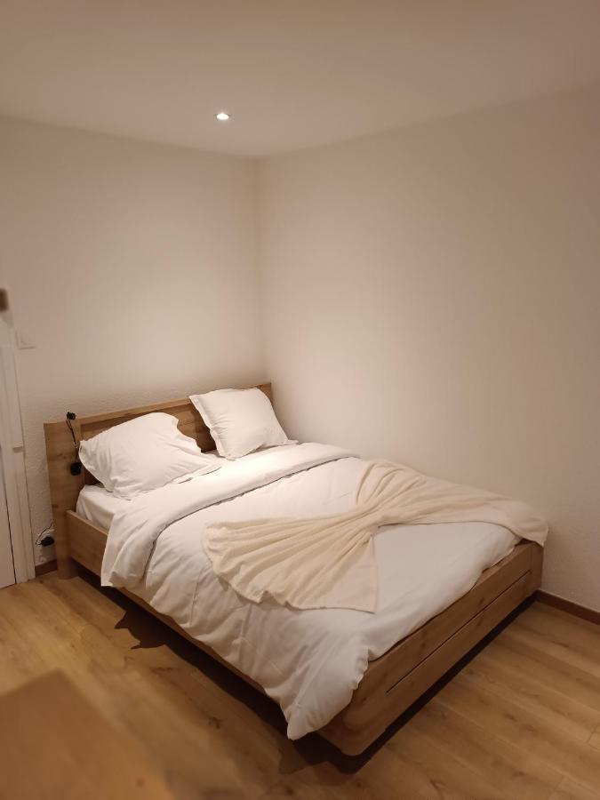 Apartament Fribourg Colmar Zewnętrze zdjęcie